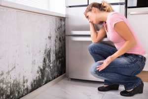 Mold prevention tips