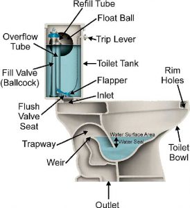 Diagram of a Toilet