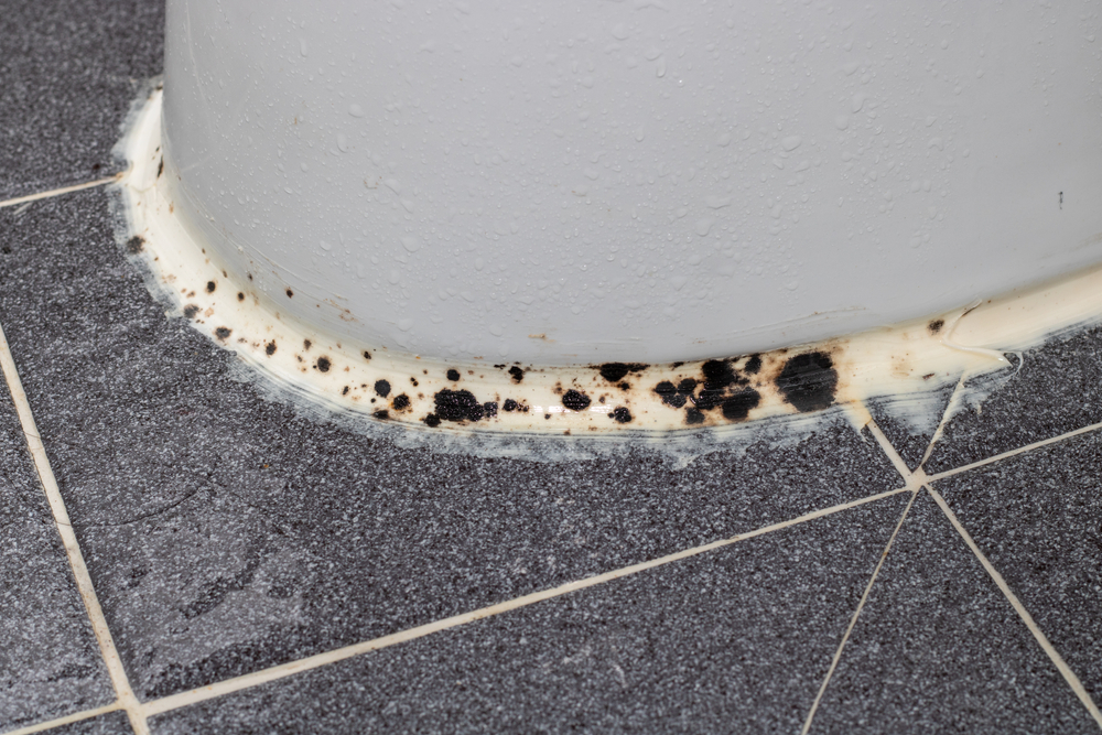 Why Does My House Smell Like Sewage? Space Coast Plumbing Inc.
