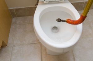 broken toilet can be a serious issue