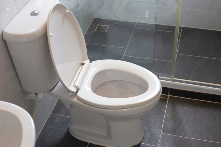 history of the toilet