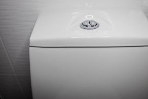 what is a dual flush toilet