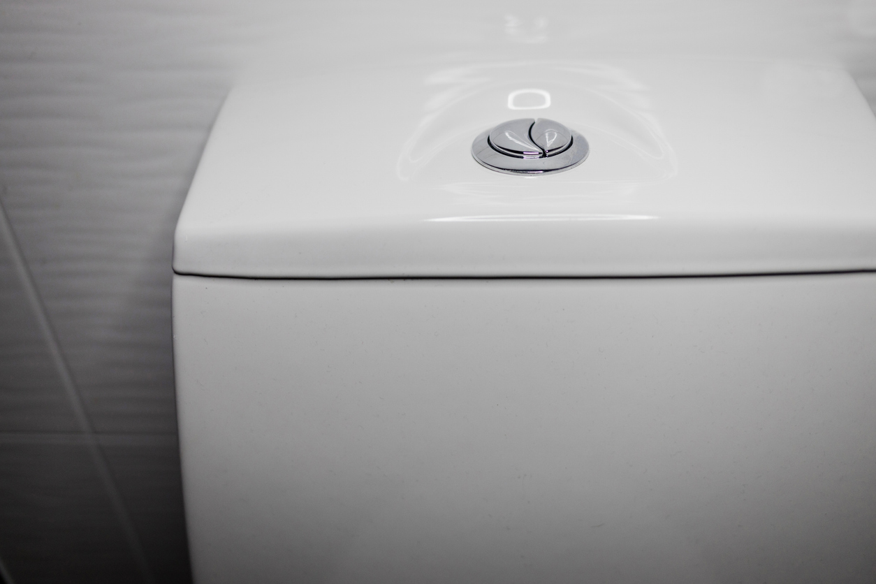 what is a dual flush toilet