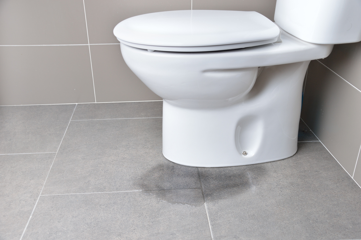 Leakage of water from a toilet due