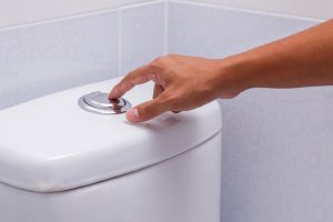 Dual flush toilet