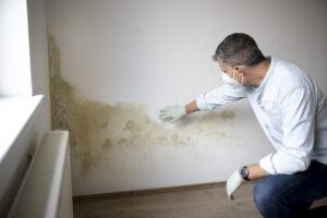 Signs you may need a pro plumber to help in Melbourne